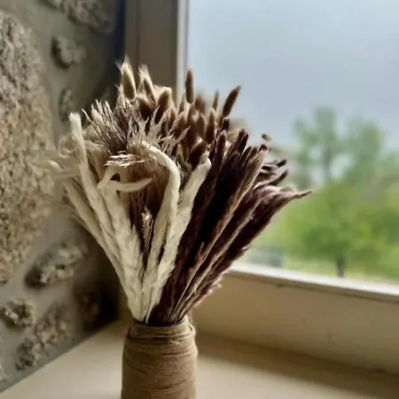 Geres - Casa Da 펜션 *