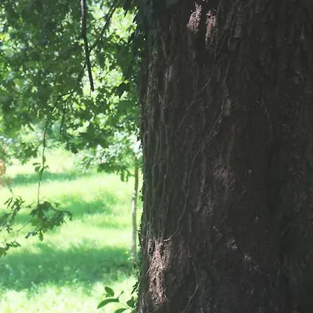 Дом отдыха Geres - Casa Da