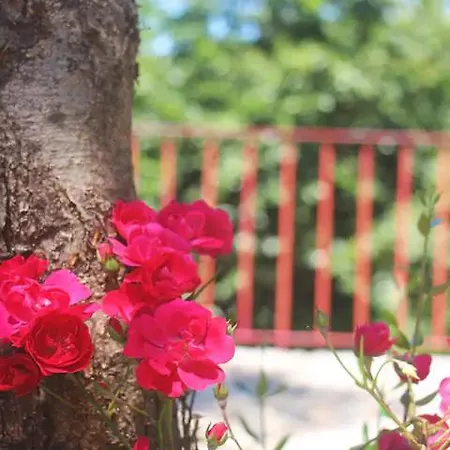 Geres - Casa Da 펜션