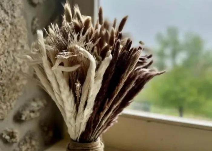 Geres - Casa Da Tatil Evi *