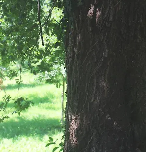 Σπίτι διακοπών Geres - Casa Da