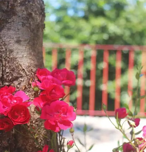 Geres - Casa Da Σπίτι διακοπών